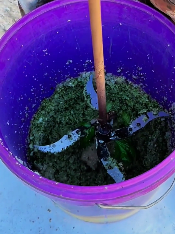 alat cacah sayuran untuk pakan ternak terdiri dari mata pisau, gagang as, dan dudukannya #cacahpakanternak #pisaucacahsayur #pisaucacah #borlistrikpenghancursayur 