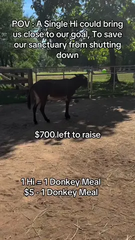 #thepackman123 #naturalhair #naturalhair #ponylove 