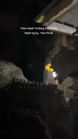 Ijin melaporkan Kemarin malam ada musibah, pohon Gepah tumbang di Pura Grya Kepah Agung, sebelah timur pura dalem ped, Sementara 5 orng terluka