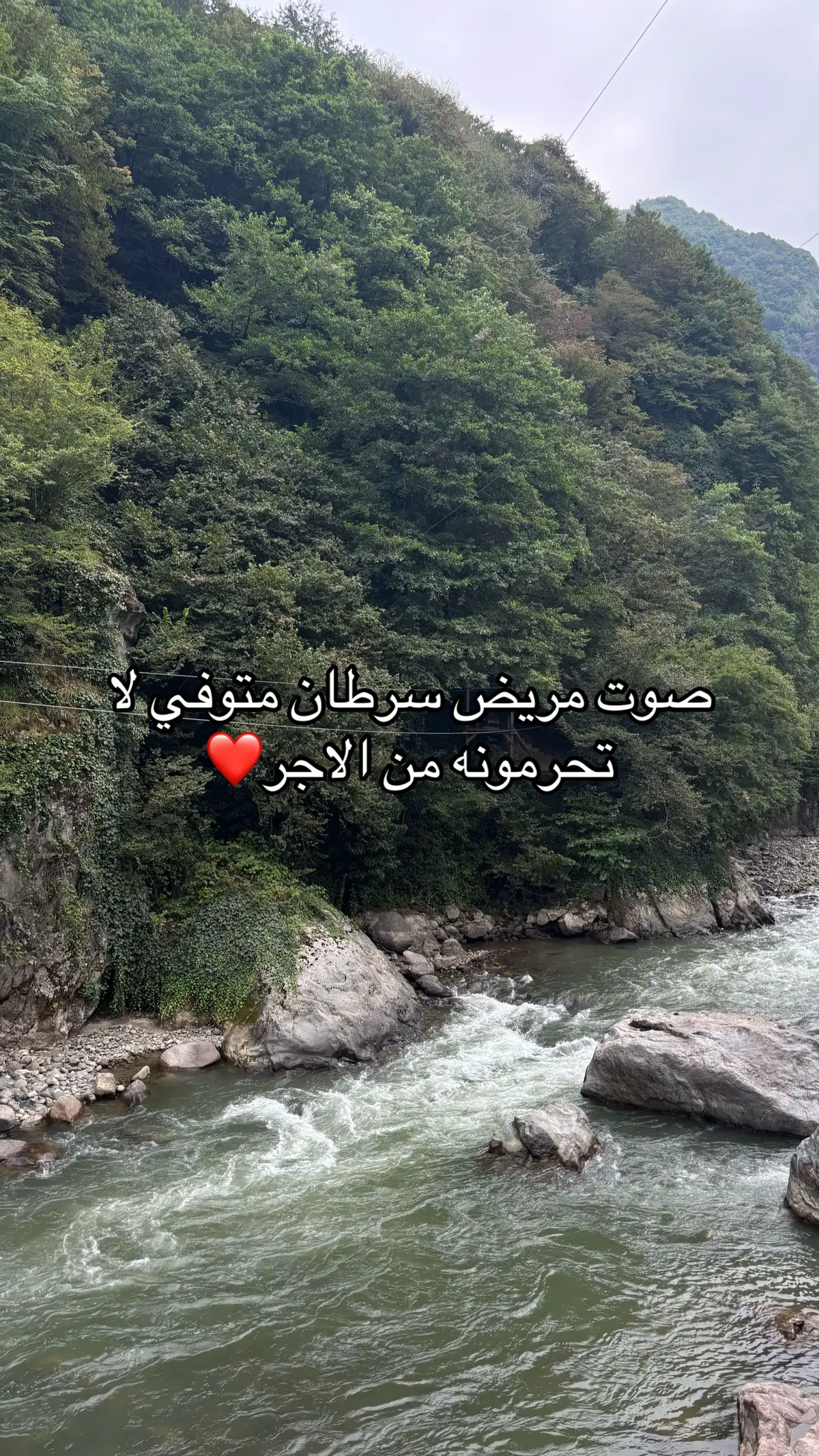 #قران_كريم #اكسبلورexplore #سبحان_الله_وبحمده_سبحان_الله_العظيم #fyp 