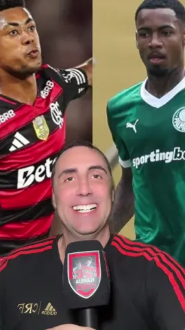 🚨VERGONHA🚨 ISSO A IMPRENSA NÃO MOSTRA E NÃO COBRA. SEMPRE A FAVOR DO MESMO TIME VERDE.  CONTRA TUDO E CONTRA TODOS  #flamengo #flamiliadanaçao #crf #palmeiras #stjd 