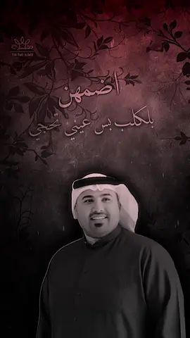 اضـَمهـنن بلكلب بسَ ععيني تـَحجي😔💔.      #مهدي_الساري #انكسار♡ #fyp #viral 