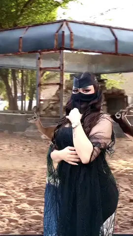 ياويل قلبي على ابدويه#عمر_عبداللات #الاردن #الخليج #السعودية #العراق 