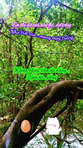 Ai nói với anh, xa anh nhiều rồi, em quên nụ cười...🥰🥰🥰 #canhdep  #tamtrangbuon  #mientay  #phuot  #phuotluon 