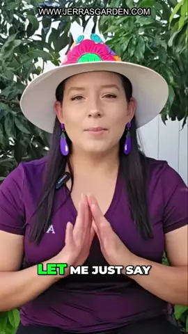 Let's dive into the world of Chinese Broccoli (Kai Lan)! We'll explore how to grow this delicious Asian vegetable from seeds in your garden. Learn about its unique flavor, temperature tolerance, and culinary uses, including stir-fries and Chinese hot pot! Find seeds for Chinese Broccoli on my website. Learn more tips about cultivating your garden on my YouTube channel. #ChineseBroccoli #KaiLan #ChineseBroccoli #KaiLan #GardeningTips #AsianVegetables #HomeGardening #VegetableGardening #StirFryRecipe #HotPotRecipe #GrowYourOwnFood #EdibleGarden