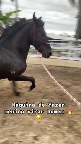 #fyy #foryo #vaiprafy #cavalo ##vaiprafy 