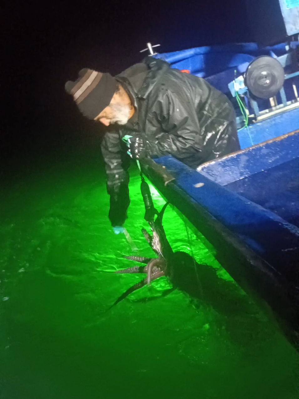 pesca de jibia ataque de agua al Maestro Kraken  #squid #jibiasycalamares🦑 #optopus #fishing #pesca 