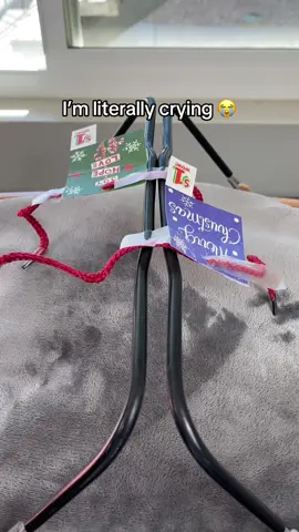 Wait for the cute dog hoodie! 😭 #tiktokmademebuyit #doglover ##smalldog##christmas##toastyhoody