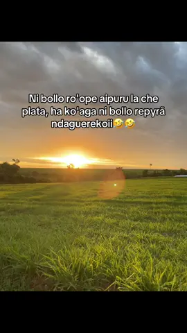 Ni bollo ro'ope aipuru la che plata, ha ko'aga ni bollo repyrã ndaguerekoii😂😂