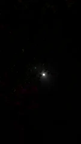 #محمد_عبده #fyp ♥️♥️