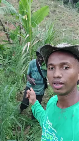 sobre a documentação do meu pai #documentos #justica 