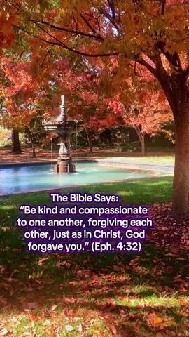 The Bible Says: “Be kind and compassionate  to one another, forgiving each other, just as in Christ, God forgave you.” (‭‭Eph.‬ ‭4‬:‭32‬) #Bible #Bibleverse #Bibletok #fyp #fypシ 