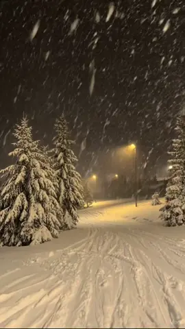 #lastchristmas #winterwonderland #winteraesthetic #cozychristmas #wintervibes 