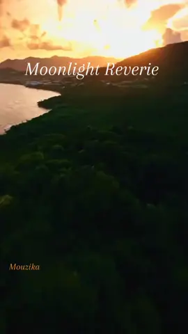 Moonlight reverie... Midnight love grooves ❤️❤️❤️🥀 #lovesong #nature #viraltiktok #reverie #fyppppppppppppppppppppppp 