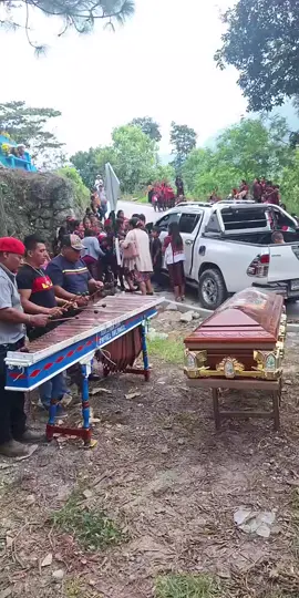 #tiktoklive #livehighlights