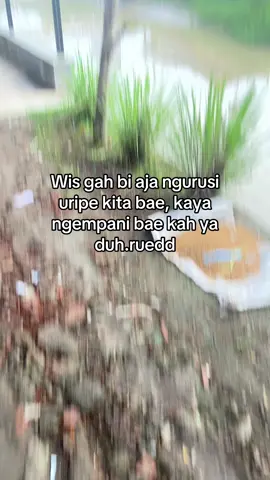 #indramayupride🏴‍☠️ #story #kratompride #indramayukotamangga🥭 #fyppppppppppppppppppppppp 