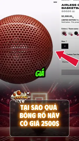 quả bóng trị giá 25000$ #basketball #chamrotv #xuhuong #bongro #NBA 