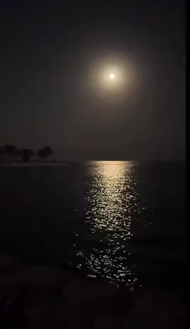 #الشتاء_قادم #