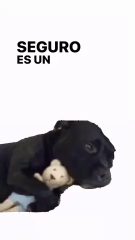 #para #tii #musica #desepcion #fyp 