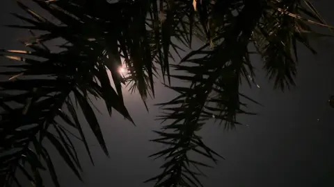 قمر 15 | نوفمبر الجميل 🤍✨