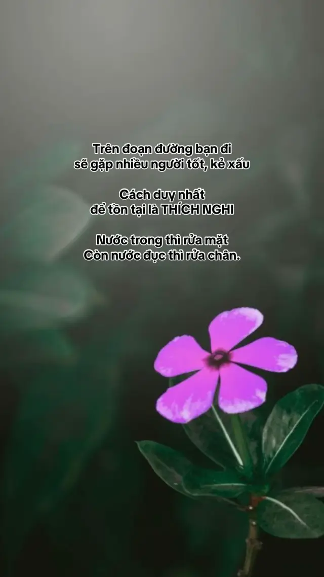 #ChâuMộcLinh #viral #fyp #xuhuongtiktok 