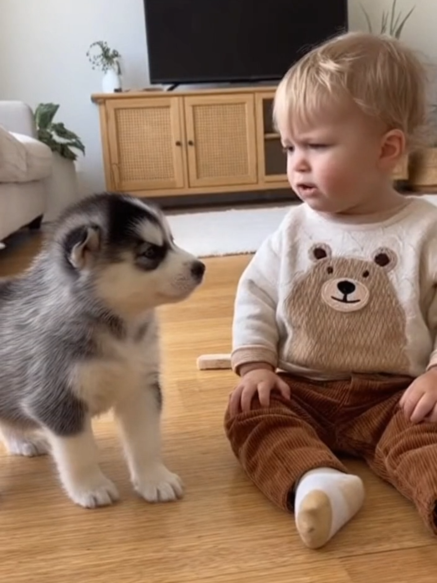 FUNNY! Baby Scolds Puppy, Mama Dog Says 