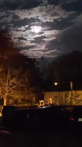 full moon #viral #myflow_goddess #Actress 