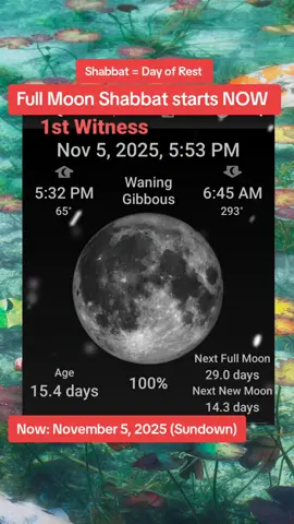 3rd Shabbat of Cheshvan: Basking in the Full Moon's Radiance & the Depths of Shabbat 🌕✨ Tonight, as the Full Moon illuminates the night sky, we welcome the 3rd Shabbat of Cheshvan. Step outside and be captivated by the brilliance of the Full Moon. As you bathe in its silvery light, feel your spirit lifted and your heart filled with a sense of wonder and awe. Let this lunar radiance illuminate your path and guide you towards a deeper connection with the Divine. This Lunar Shabbat, gather with loved ones, share stories, and express gratitude for the blessings that fill your life. May the energy of this Full Moon Shabbat inspire you to embrace the abundance of the universe and celebrate the journey of spiritual growth. Jesus and the Lunar Shabbat: Did you know that Jesus Christ himself observed Shabbat in accordance with the lunar calendar? Historical and biblical evidence suggests that the calendar used in those times was lunisolar, based on the cycles of both the sun and the moon. Just as we celebrate Shabbat on the seventh day of each lunar week, so too did Jesus and his followers. What is Shabbat, Really? Shabbat is more than just a day of rest. It's a taste of the World to Come, a glimpse into a reality where peace and harmony reign supreme. It's a palace in time, a sanctuary built not of bricks and mortar, but of sacred moments. It's an invitation to presence, to be fully present in the here and now, to savor the simple joys of life, and to cultivate inner peace. A Secret from 