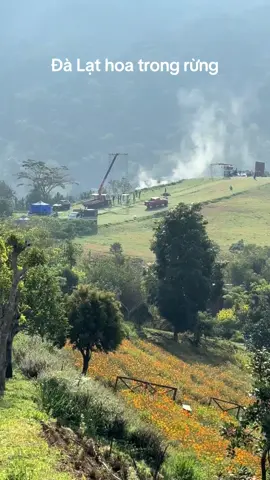 Đà Lạt hoa trong rừng hồng Phương mến chúc cả nhà ngày mới năng lượng mọi việc thuận lợi như ý vui vẻ thành công tốt đẹp#dalat #xuhuongtiktokt #thinnhhanhtiktokh #hongphuonghoteldalat #dalat 