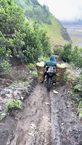 terlihat sulit tapi aku bisa 😊 #gobesbromo