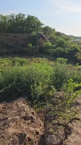 Rio seco aqui em contendas Rio das contas 