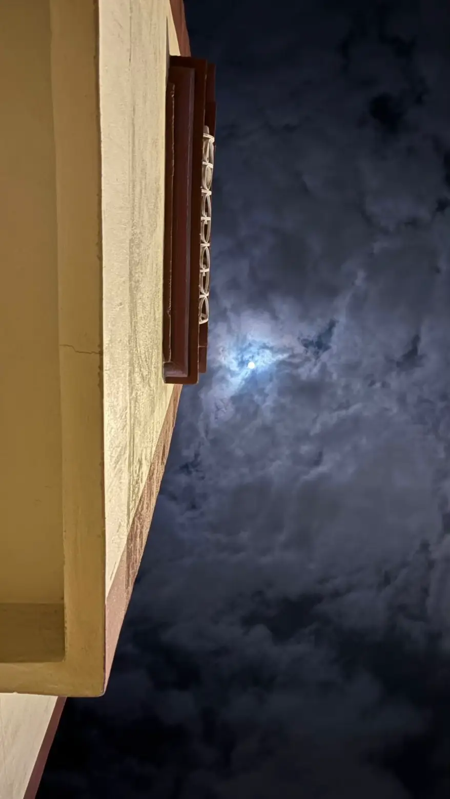 #اكسبلورexplore 