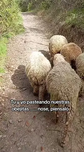 piénsalo  #viaje #ancash #arquitecto #paseo #sigueme 