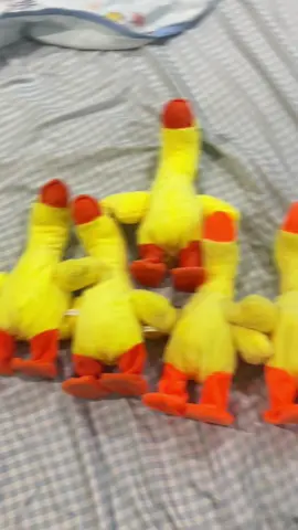 #เป็ดเต้นได้ #เป็ดเดินได้ #เป็ดพูดได้ #ของเล่นเด็ก #ของเล่น 