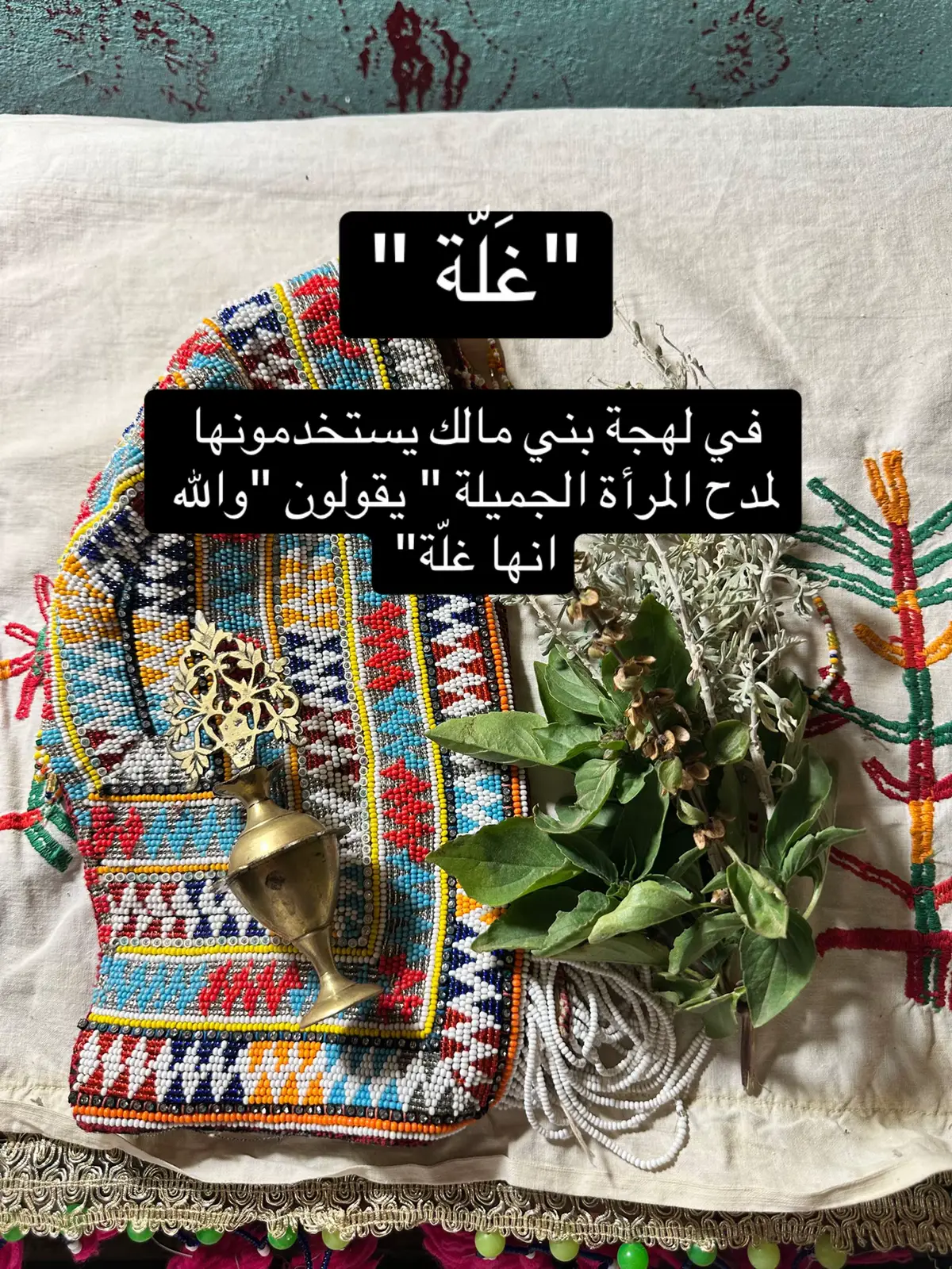 #بني_مالك #بجيلة #كلمات   