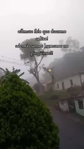 cálmate frio, no somos pingüinos jaja  #gatofelix 