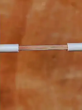 #fyppppppppppppppppppppppp 