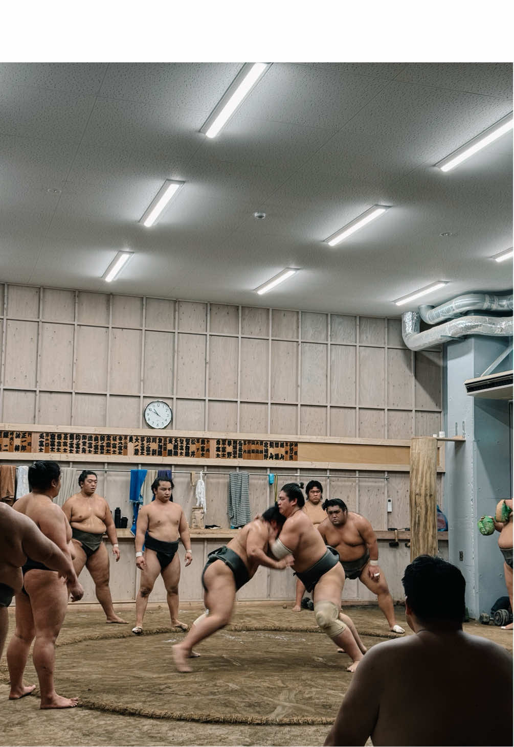 Qual o cardápio para o aniver de 30? Acho que assistir um treino de sumô em Tóquio vai harmonizar bem ✨🎌 Amei passar meu bday fazendo atividades culturais em Tóquio 🇯🇵 obrigadinha meu amô @Pedro Zumaran  Sumo morning practice Tokyo  #japao #viagemtiktok #sumo #toquio #tokyo 