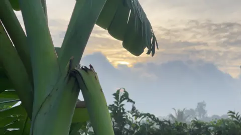 Xuân chưa về mà lòng nôn như tết. #têtsumvầy#tết2026#mientay 