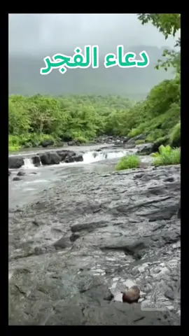 دعاء #دعاء  #اكسبلور  #aleisaei_1  #اكسبلور  #اللهم_صلي_على_نبينا_محمد 