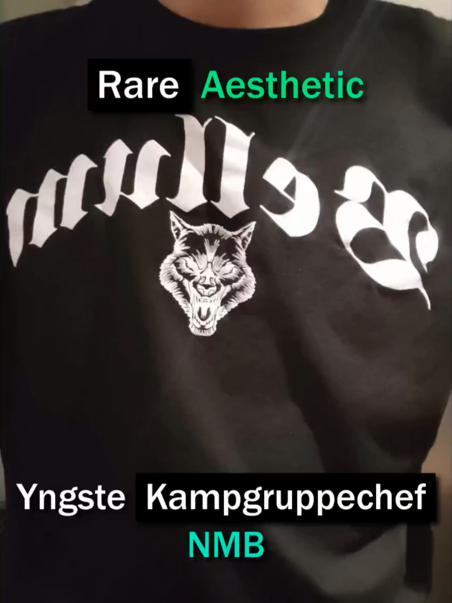 Rare Aesthetic: Yngste Kampgruppechef i den Nordiske Modstandsbevægelse 👀 #rareaesthetic #danmark