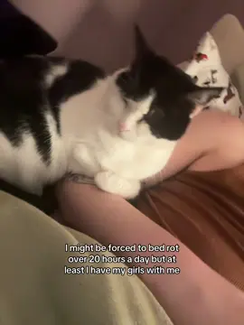 I went grocery shopping yesterday and am really paying the price today. Had to sleep most of the day, it’s 7 pm and I was awake a total of one hour so far.. that hour was spent sobbing bc of how much pain I was in and how exhausted I am. I managed to get to the bathroom twice and feed my dog and cats. But I can’t feed myself. 