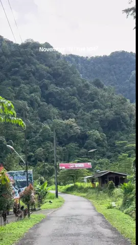 Huatan petungkriyono selalu menunjukkan pesona nya🍃 #alam #hutan #petungkriyono #pekalongam #fyp 