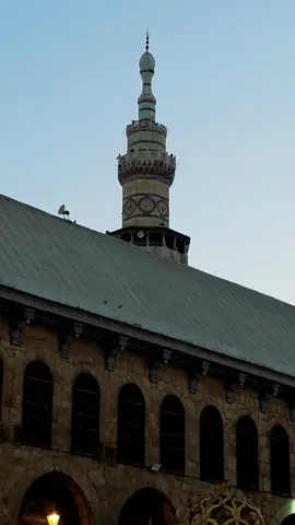 #مسجد_بني_امية_الكبير  #دمشق  #الله_اكبر  #سوريا🇸🇾 