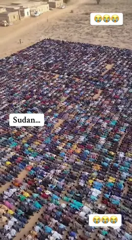 Hãy kêu gọi chấm dứt chiến tranh 