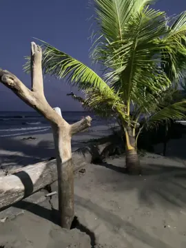 #beachlife #contenidotiktok #onelove #