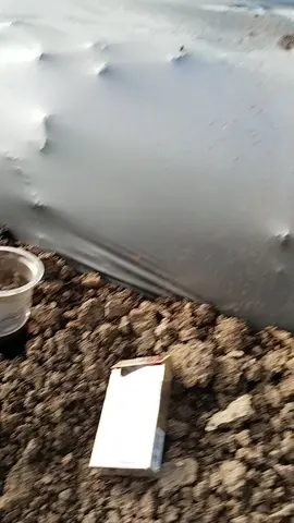 ulah ka sorang nu goreng mah.  #awalibismillah 