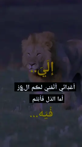 #🤫💫💫✨💯👑👑☝🏻✨ 