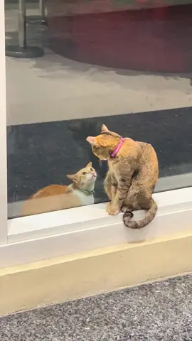 POV: Pag mas mahal ka ng lalaki.