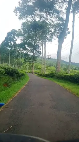 ari k palih dieu teh sok raos botram baraya #pemandanganalam #wisataciwidey #rancabaliciwidey #jawabarat #popsunda #fyppppppppppppppppppppppp 